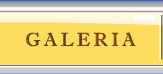 Galer&iacute;a