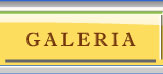 Galer&iacute;a